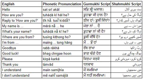 accent meaning in punjabi